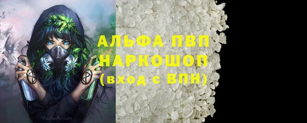 гашик Верея