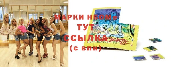 гашик Верея