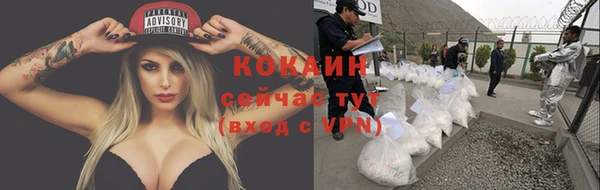 прущие грибы Верхнеуральск