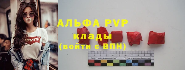 гашик Верея
