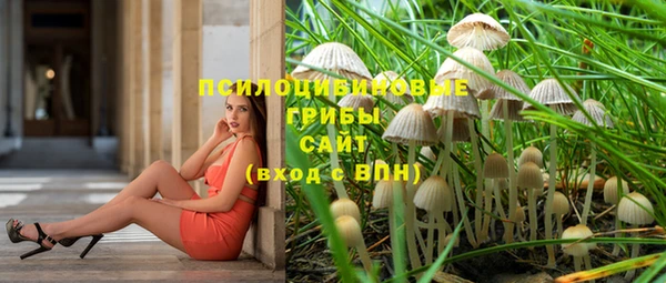 хмурый Волоколамск