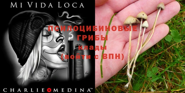 хмурый Волоколамск