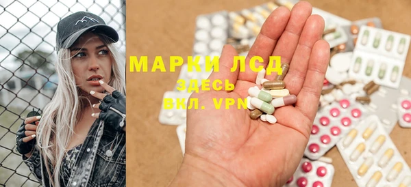 гашик Верея