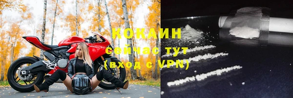 дживик Володарск